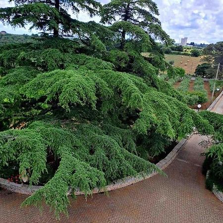 Apartmán Casina Foggia Dell'Albero Putignano Exteriér fotografie