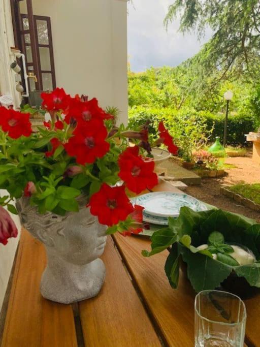 Apartmán Casina Foggia Dell'Albero Putignano Exteriér fotografie