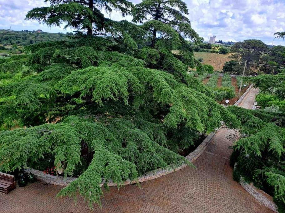 Apartmán Casina Foggia Dell'Albero Putignano Exteriér fotografie