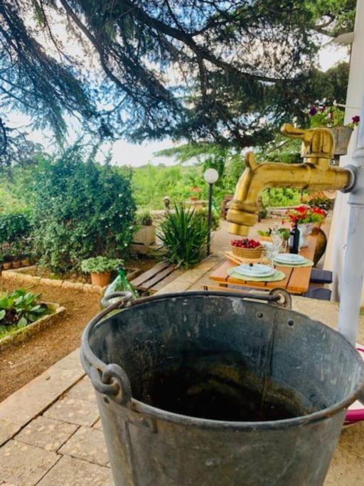 Apartmán Casina Foggia Dell'Albero Putignano Exteriér fotografie